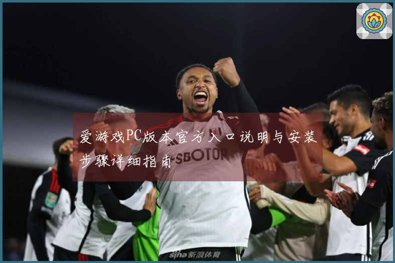 爱游戏PC版本官方入口说明与安装步骤详细指南